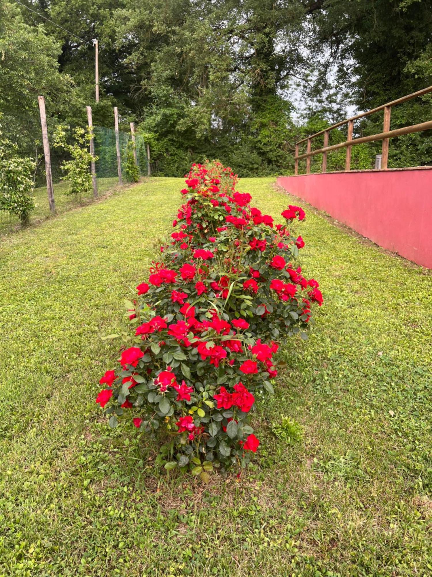 Villa Magda Todi Bagian luar foto